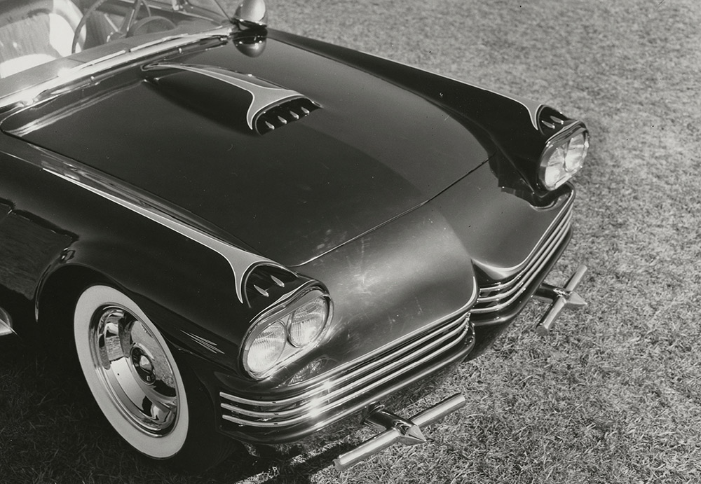 Raised close 3/4 frontal shot of the Candy Bird