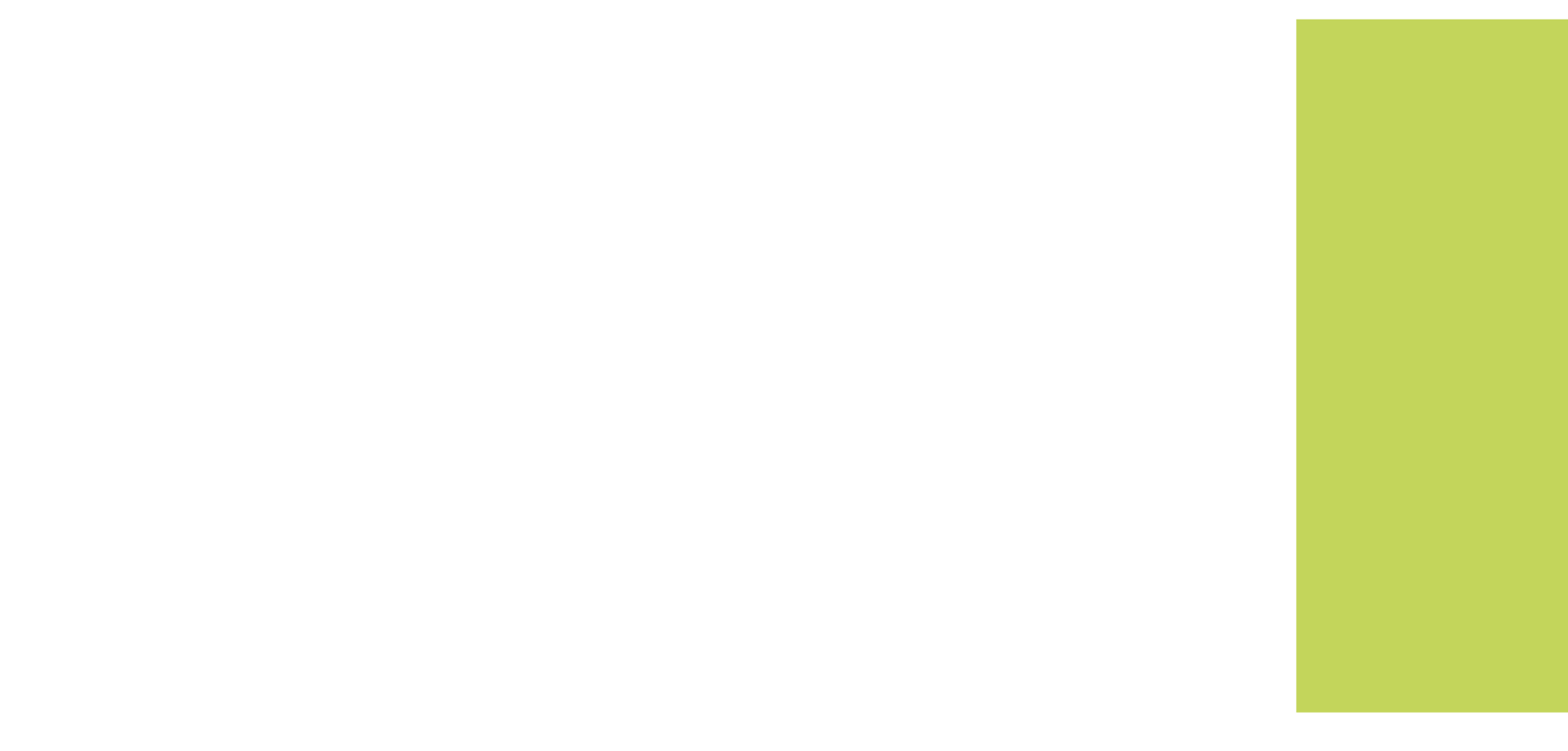 Bumper Guards & Taillights