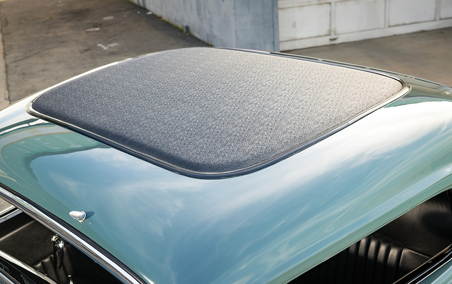 Close-up of the textured roof insert.